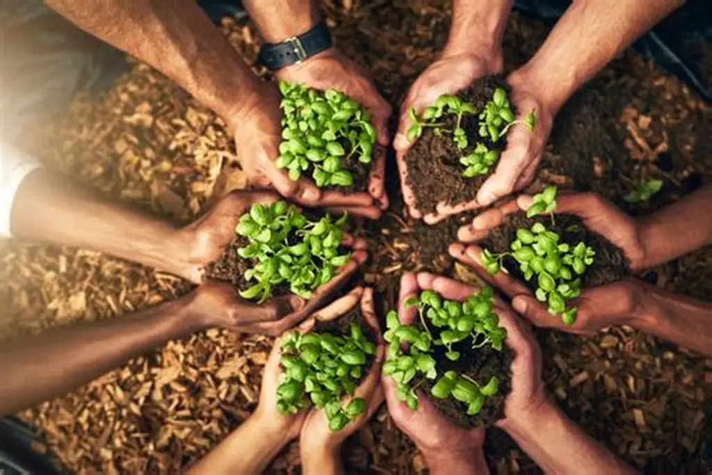 Sustainability at Cromatex